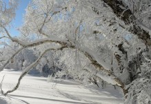 冬天的雪景