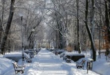 白雪纷飞的世界（在这个寒冷的季节里，人们的故事从未停止）