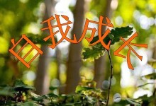 追逐梦想的脚步不停歇（追逐梦想的脚步不停歇）