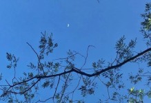 清晨的明媚阳光（感受清晨时光，享受生命之美）
