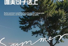 约定如期，心意不变（小城镇里的真情故事）