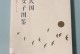 风筝的人生（从陆小曼的作品中汲取灵感）