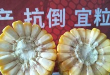 承载梦想的旅程（一个年轻人的奋斗史）