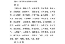 秀丽的语汇（探寻一个年轻女孩的内心世界）