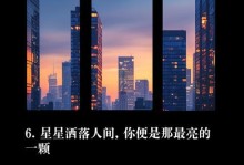 星辰耀目：一场星星的旅程
