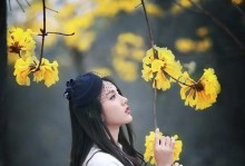 坚持不懈的追寻（离愁中坚持爱情）