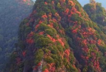 秋意渐浓——一个咖啡馆里的故事