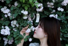 人类灵魂的花