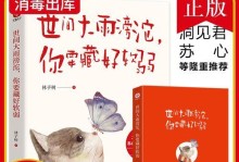 力量的奇迹（在沉沦中崛起的故事）