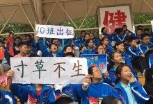 飞翔的梦想（以青春的翅膀，让梦想起飞）