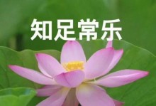 寻找快乐的过程（一个寻找自我和快乐的女孩）