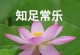 寻找快乐的过程（一个寻找自我和快乐的女孩）