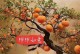 友情与品味——一场难忘的美食之旅