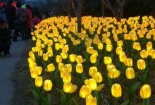 元宵花灯之夜：一场奇妙的梦境