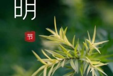 清明祭扫，寄思念于故土（清明节，追忆逝者的深情缅怀）