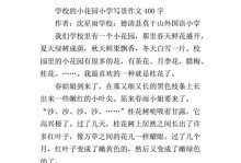 学校美好的时光（与老师、同学们共同经历的难忘瞬间）