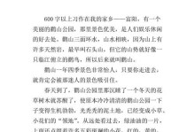 迷失在魔幻森林（探索神秘之旅）