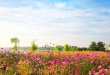 夏日的回忆——从青涩到成熟的印记