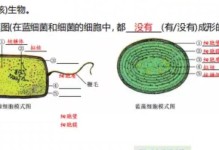向着成功前进（勇敢追梦，从零开始）