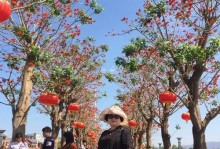 友谊永恒：和大自然成为最好的朋友