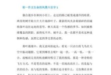 一个人生如风景的故事（一个人生如风景的故事）